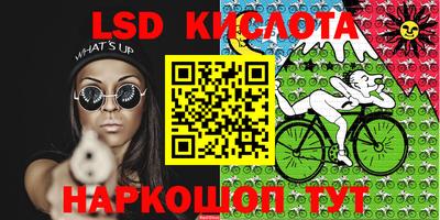 шишки Бийск