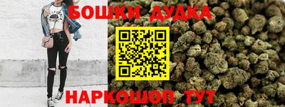 шишки Бийск