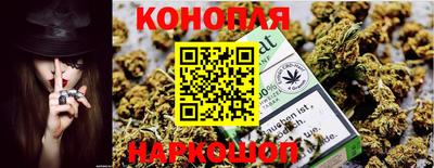 шишки Бийск