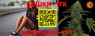 шишки Бийск