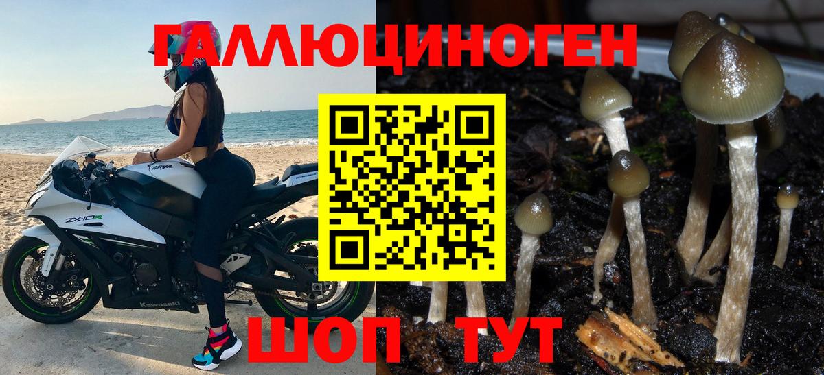 Галлюциногенные грибы Psilocybine cubensis  Вход с VPN  Кашира 